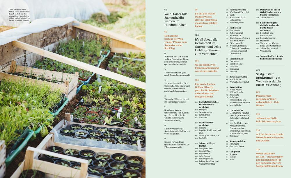 Beispielinhalt (Bild) Wie du dein eigenes Saatgut gewinnst - und so ein kleines Stück Welt rettest