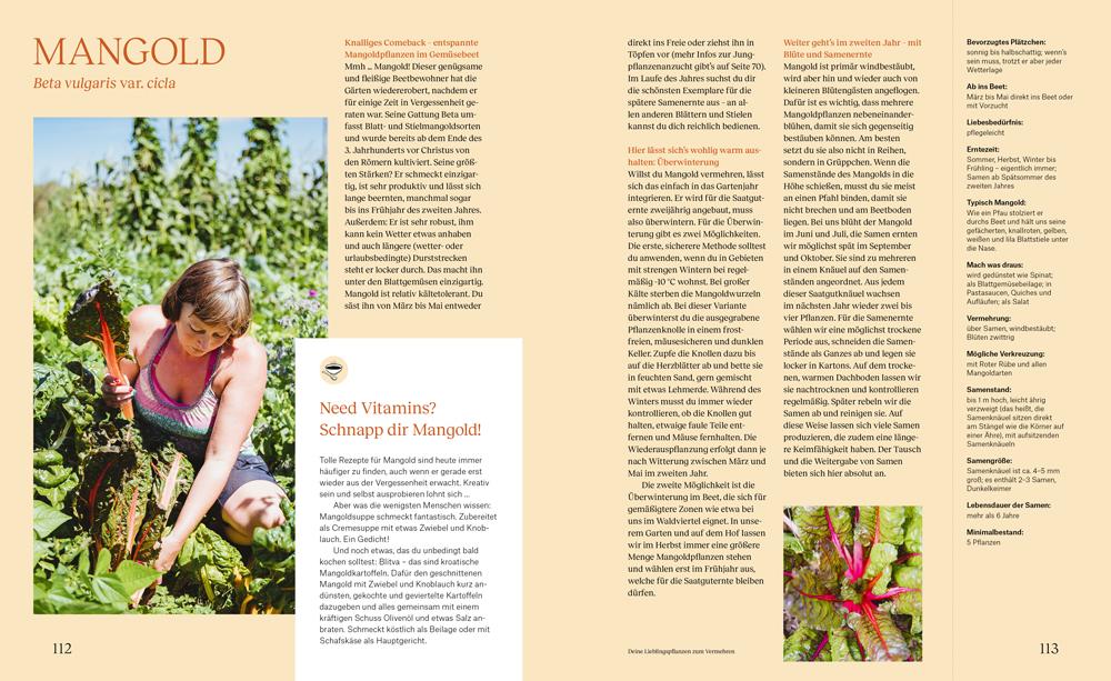 Beispielinhalt (Bild) Wie du dein eigenes Saatgut gewinnst - und so ein kleines Stück Welt rettest