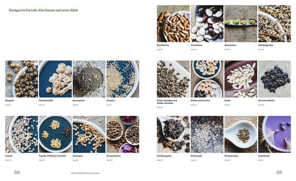 Beispielinhalt (Bild) Wie du dein eigenes Saatgut gewinnst - und so ein kleines Stück Welt rettest