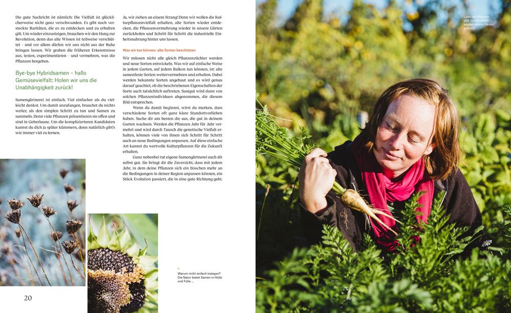 Beispielinhalt (Bild) Wie du dein eigenes Saatgut gewinnst - und so ein kleines Stück Welt rettest