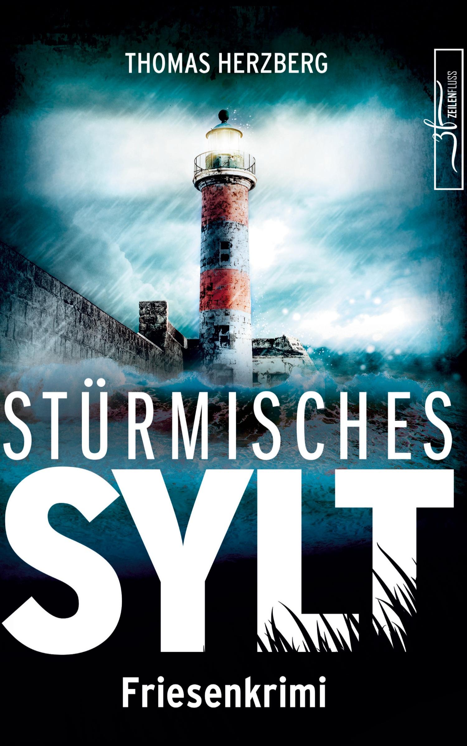 Vorderes Coverbild Stürmisches Sylt