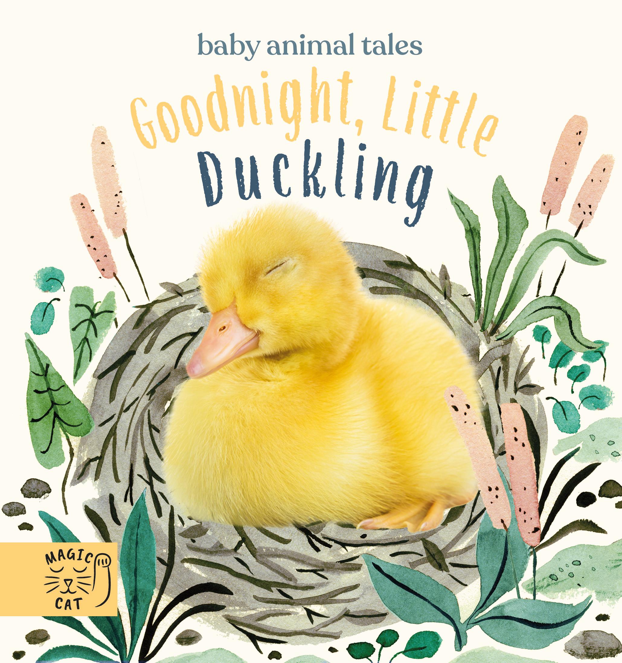 Vorderes Coverbild Goodnight, Little Duckling