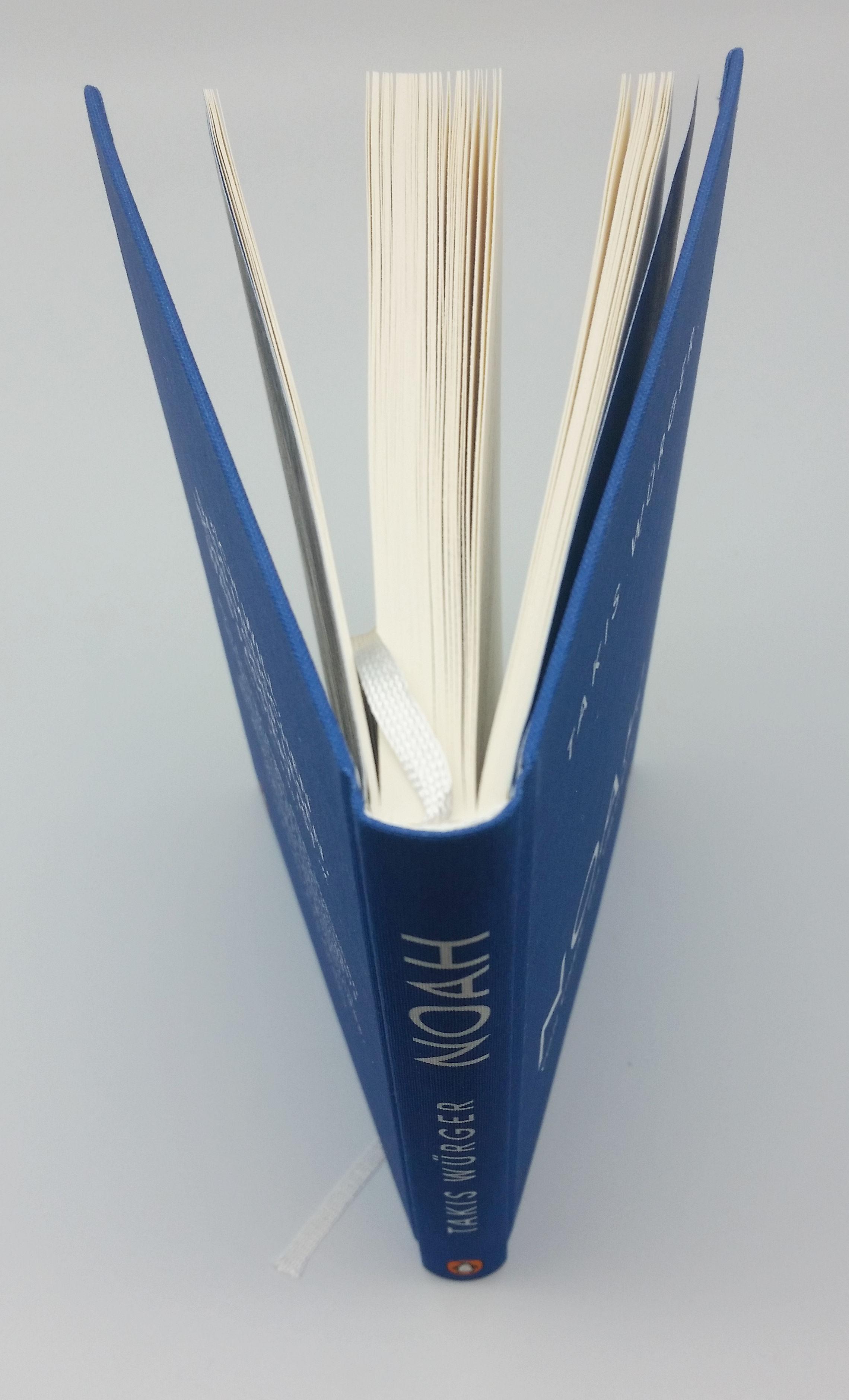 Beispielinhalt (Bild) Noah - Von einem, der überlebte