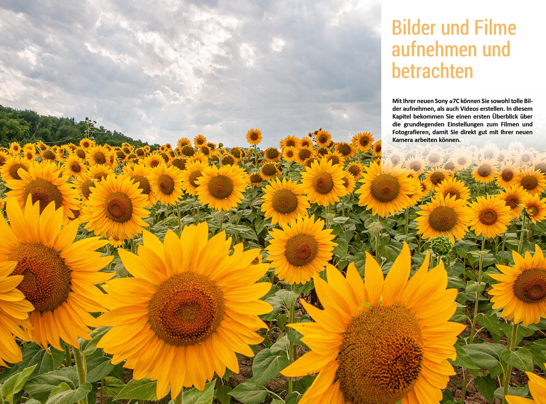 Beispielinhalt (Bild) Sony A7C