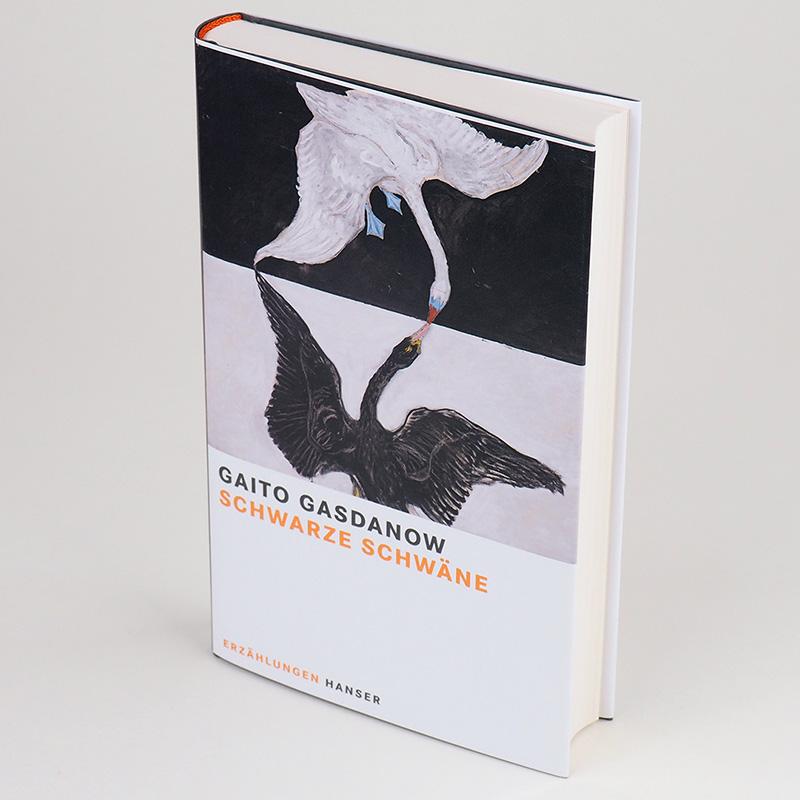 Beispielinhalt (Bild) Schwarze Schwäne