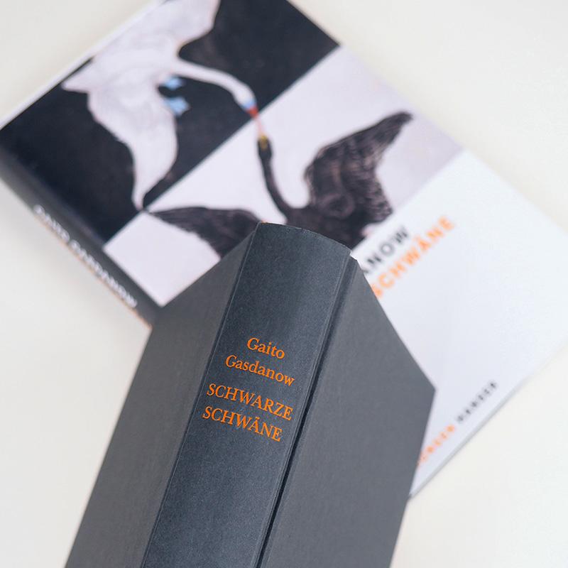 Beispielinhalt (Bild) Schwarze Schwäne