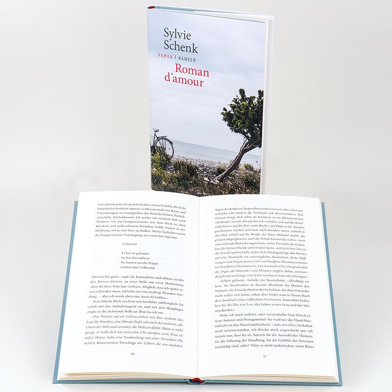 Beispielinhalt (Bild) Roman d'amour