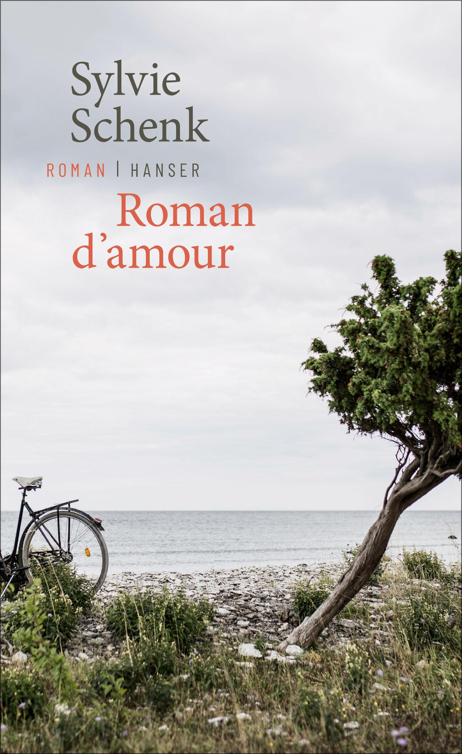 Vorderes Coverbild Roman d'amour