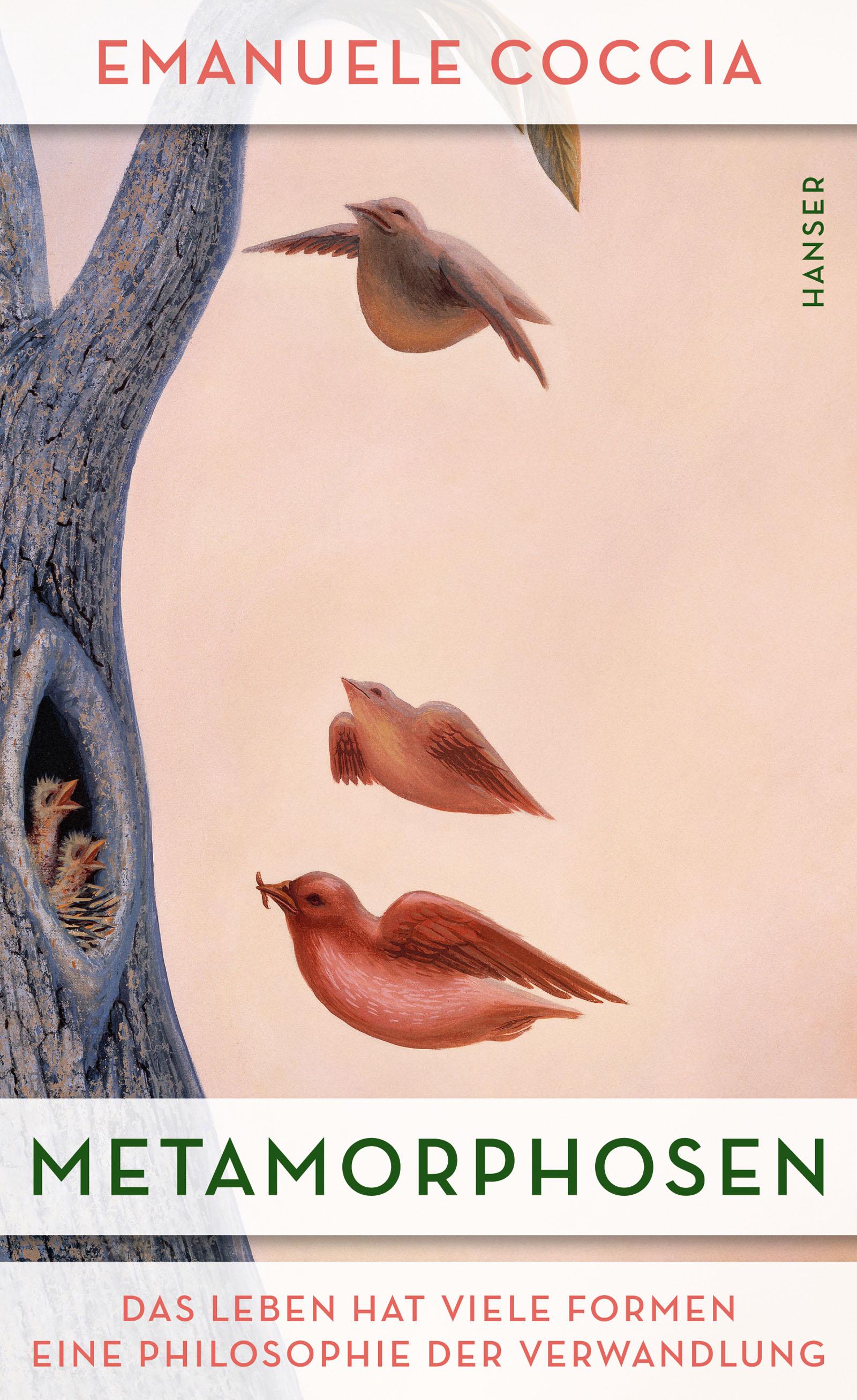 Vorderes Coverbild Metamorphosen