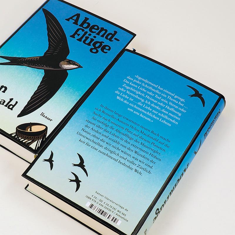 Beispielinhalt (Bild) Abendflüge