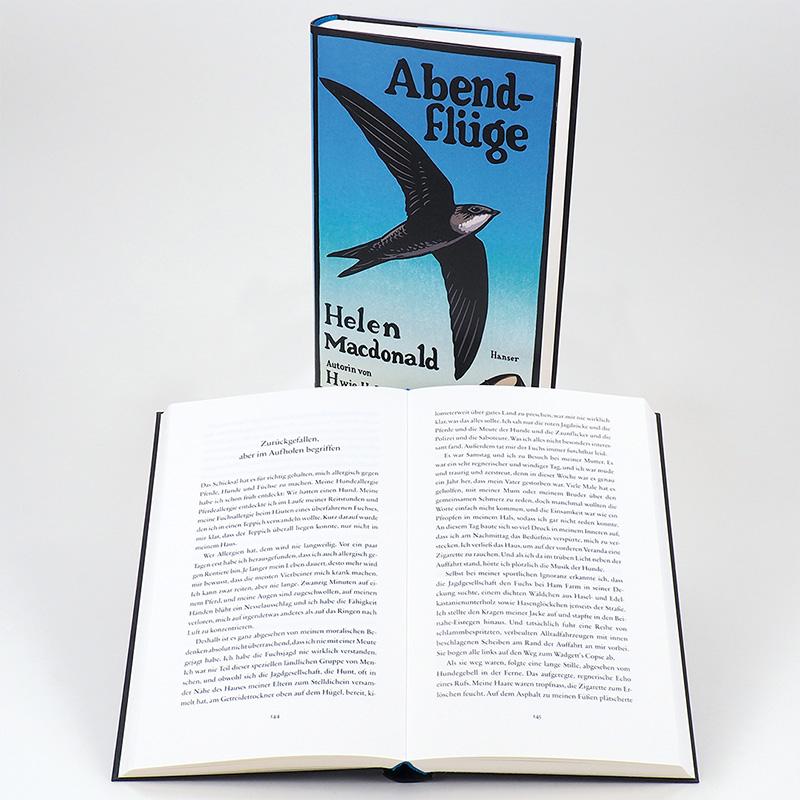 Beispielinhalt (Bild) Abendflüge