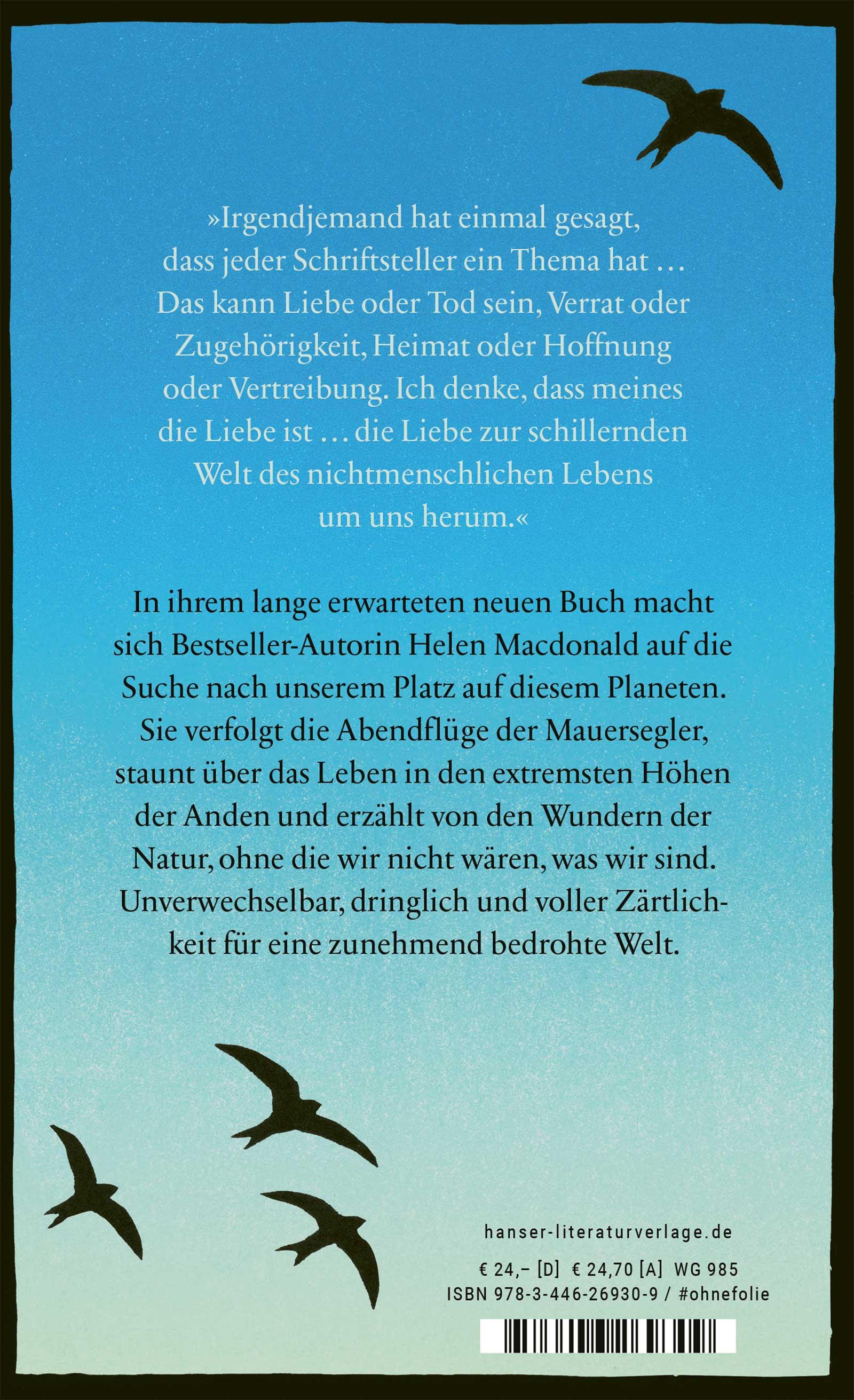 Beispielinhalt (Bild) Abendflüge