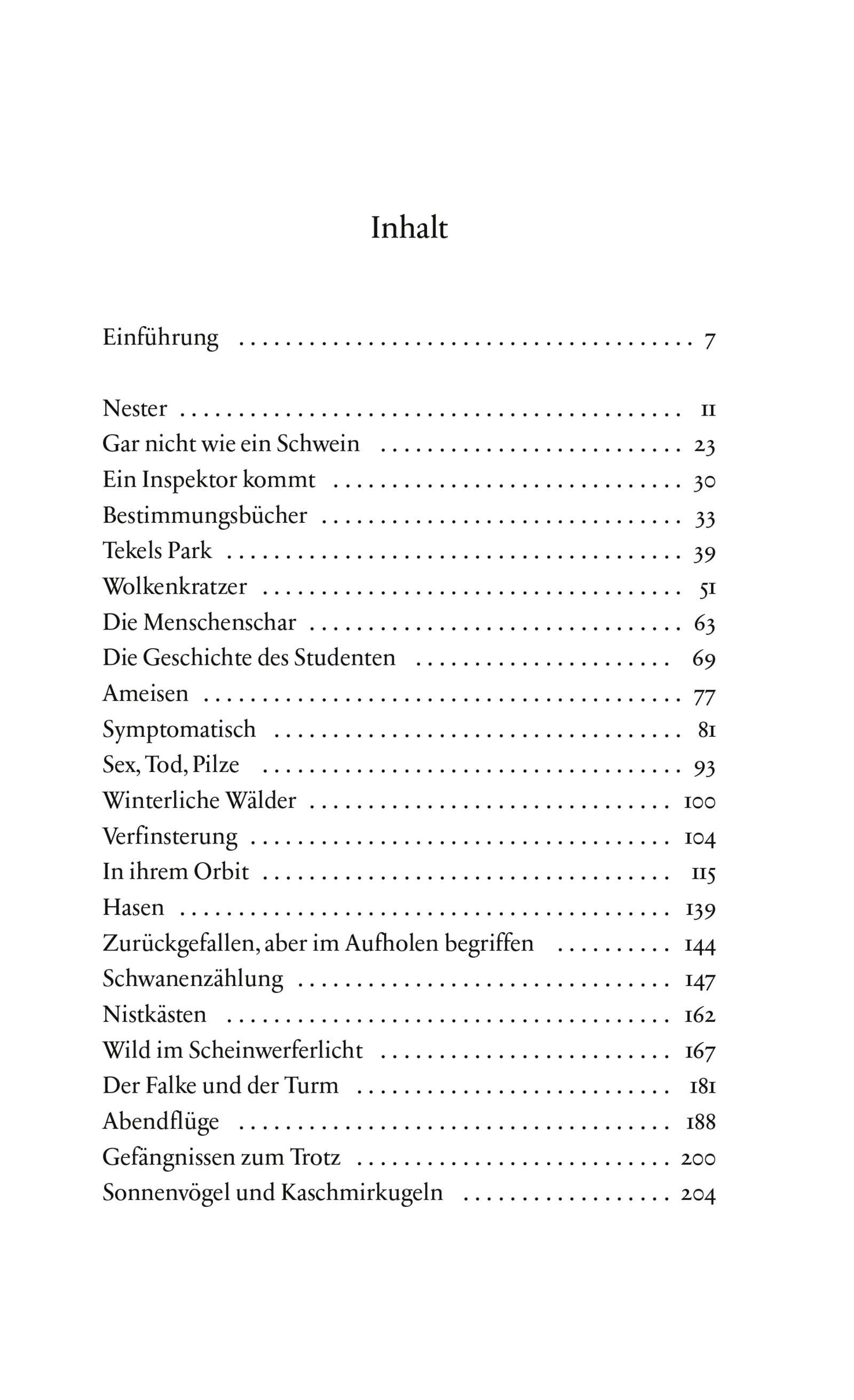 Beispielinhalt (Bild) Abendflüge