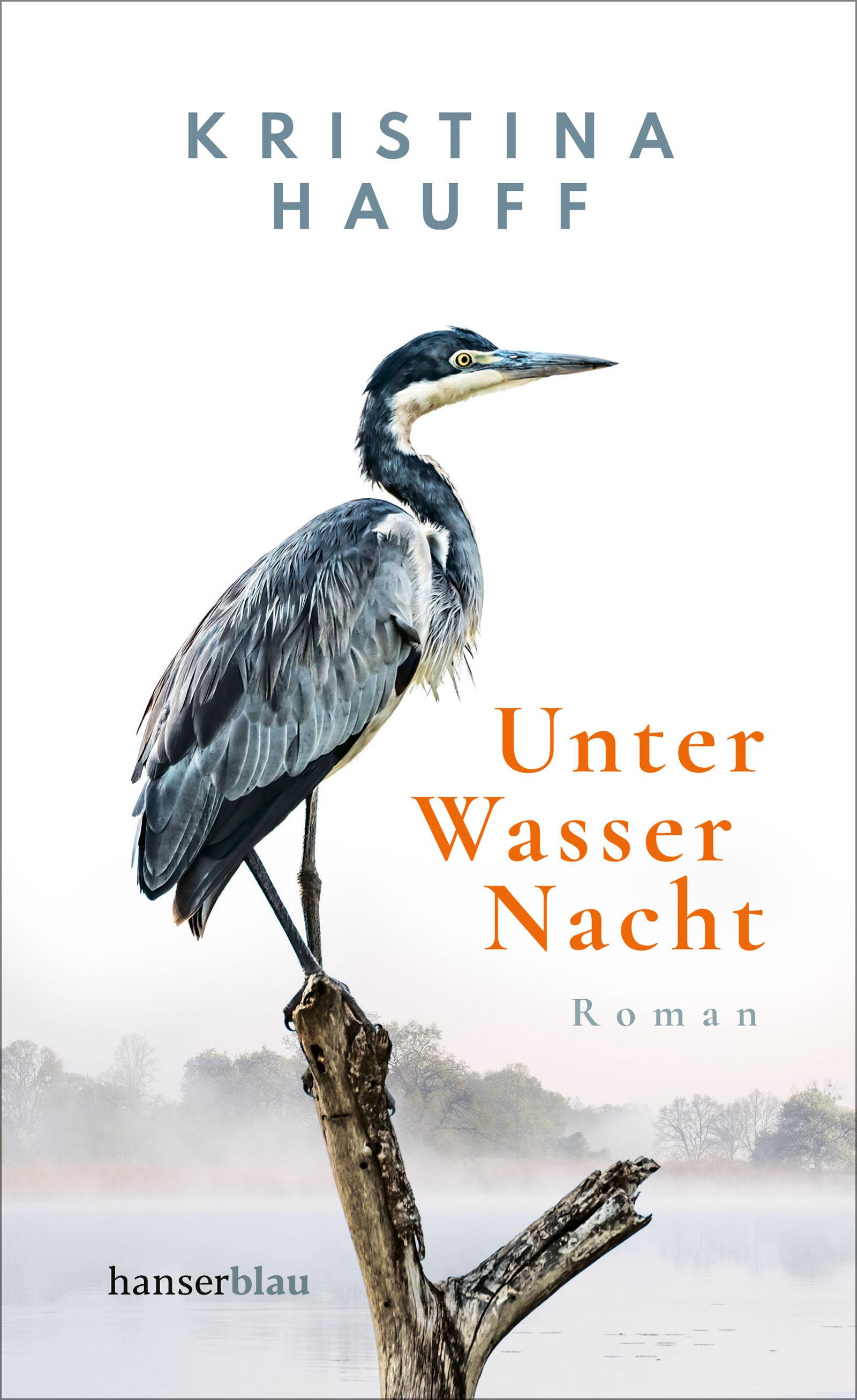 Vorderes Coverbild Unter Wasser Nacht