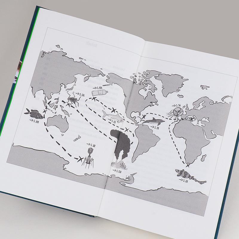 Beispielinhalt (Bild) Wenn Haie leuchten