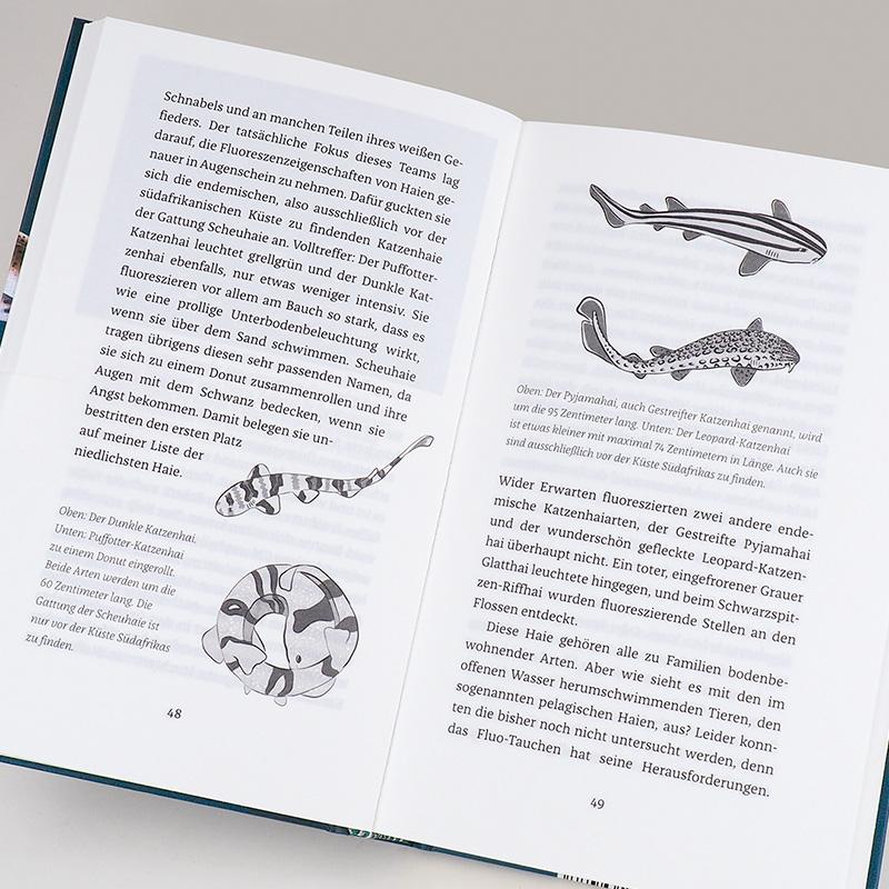 Beispielinhalt (Bild) Wenn Haie leuchten