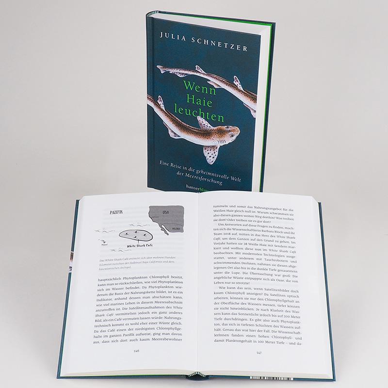 Beispielinhalt (Bild) Wenn Haie leuchten