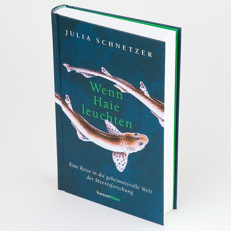 Beispielinhalt (Bild) Wenn Haie leuchten