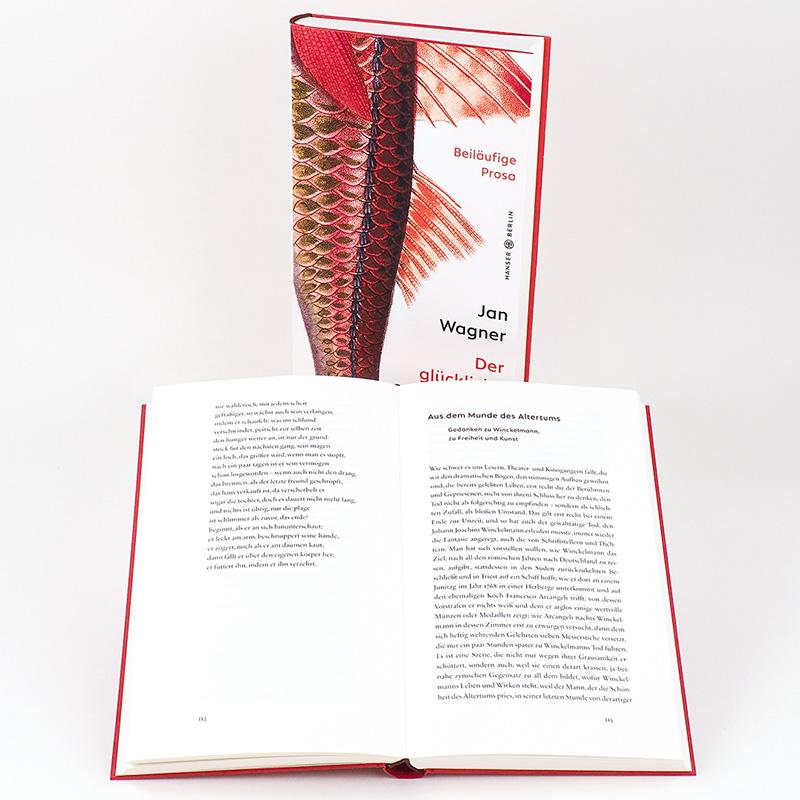 Beispielinhalt (Bild) Der glückliche Augenblick