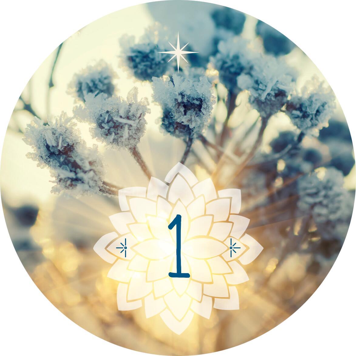 Beispielinhalt (Bild) Adventskalender in der Dose. 24 Entspannungsmomente für den Advent