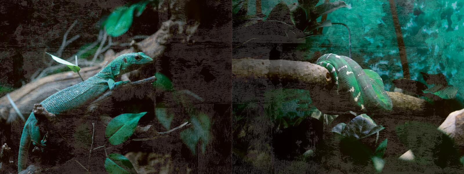 Beispielinhalt (Bild) Escape Room. Die dunkle Insel