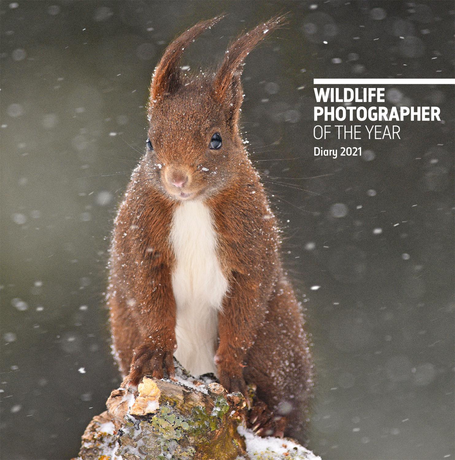 Vorderes Coverbild Wildlife Photographer of the Year Pocket Diary 2022