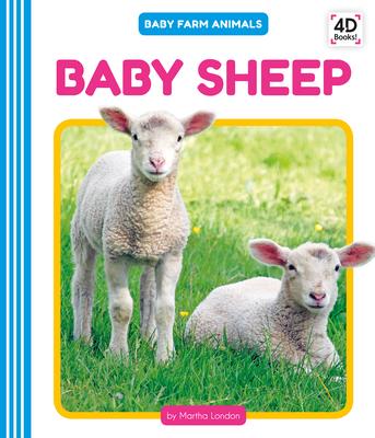Vorderes Coverbild Baby Sheep