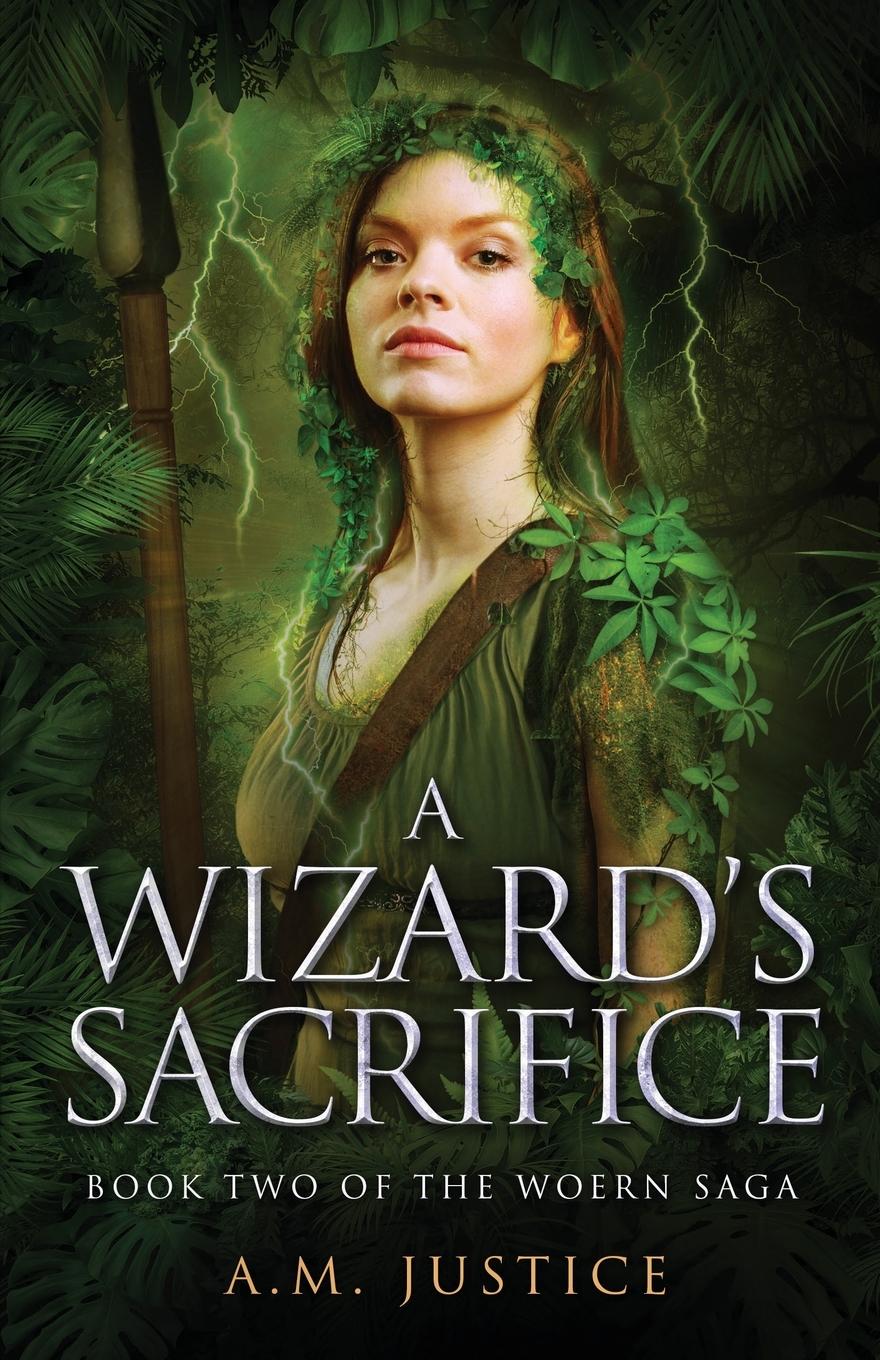 Vorderes Coverbild A Wizard's Sacrifice