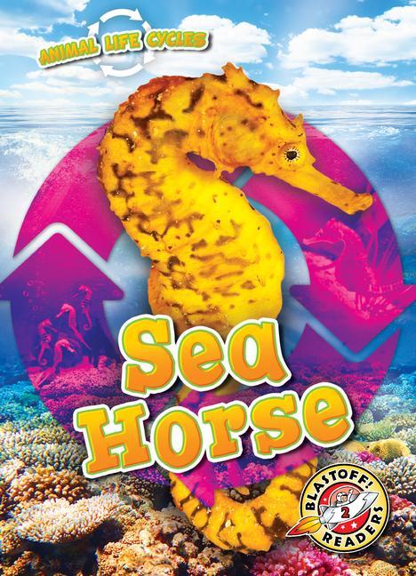 Vorderes Coverbild Animal Life Cycles: Sea Horse