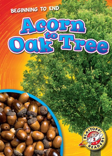Vorderes Coverbild Acorn to Oak Tree