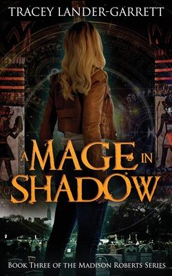 Vorderes Coverbild A Mage in Shadow