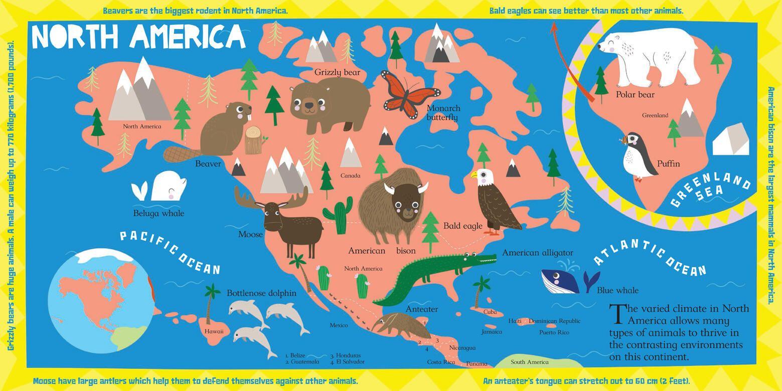 Beispielinhalt (Bild) Scribblers' Animal Atlas