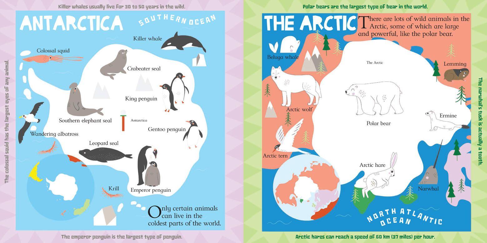 Beispielinhalt (Bild) Scribblers' Animal Atlas