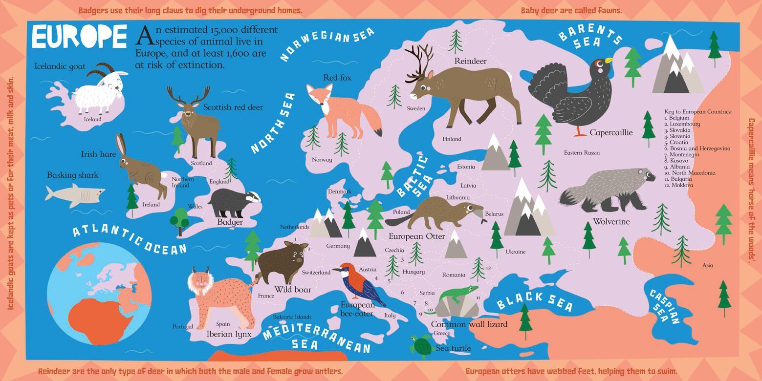 Beispielinhalt (Bild) Scribblers' Animal Atlas