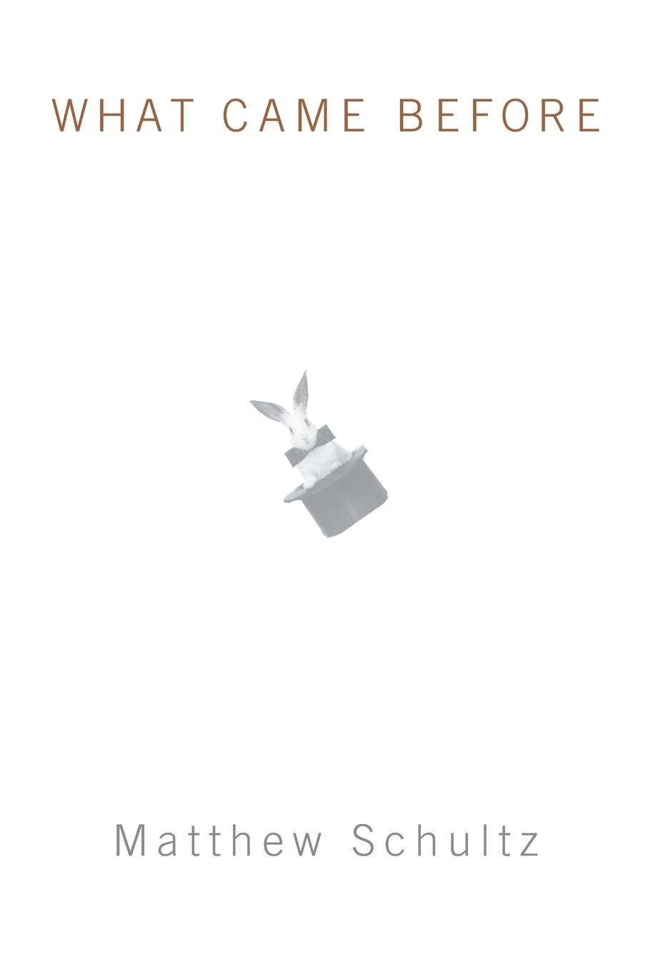 Vorderes Coverbild What Came Before