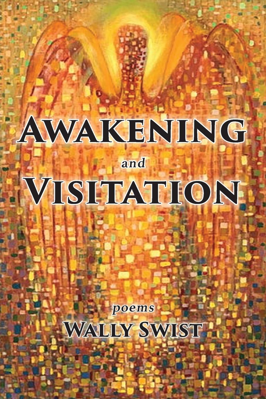 Vorderes Coverbild Awakening and Visitation