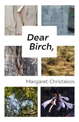 Vorderes Coverbild Dear Birch