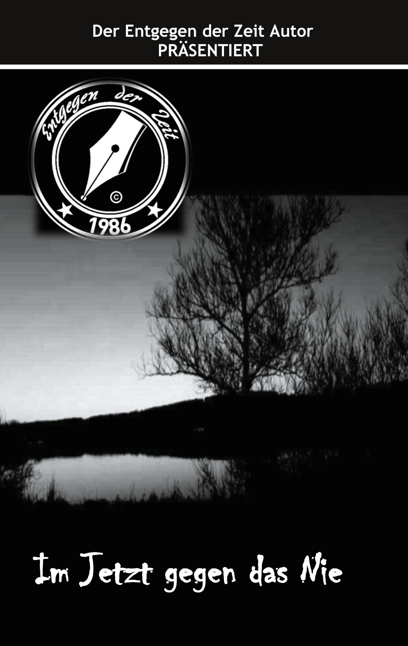 Vorderes Coverbild Im Jetzt gegen das Nie