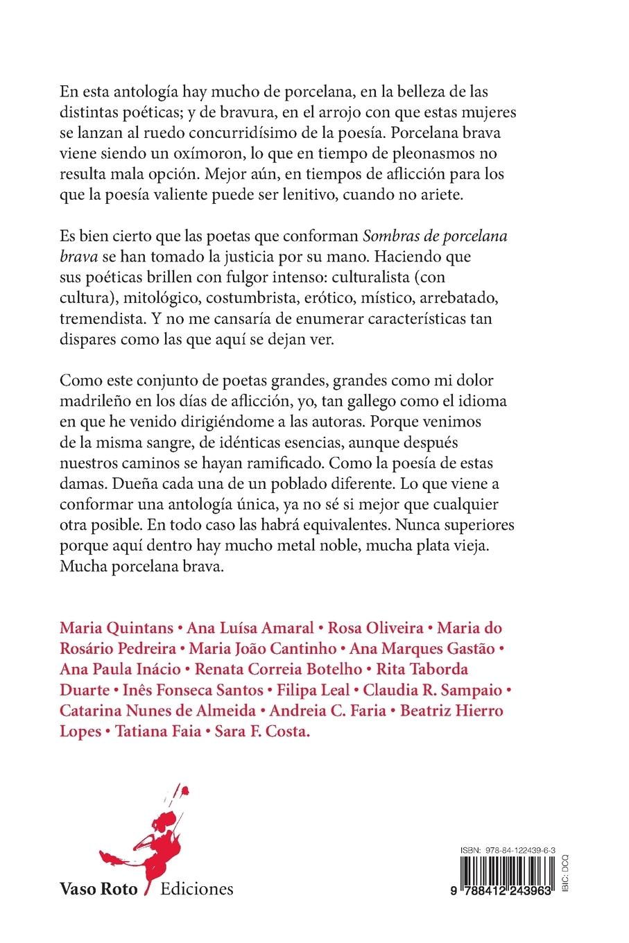 Rückseitencover Sombras de porcelana brava