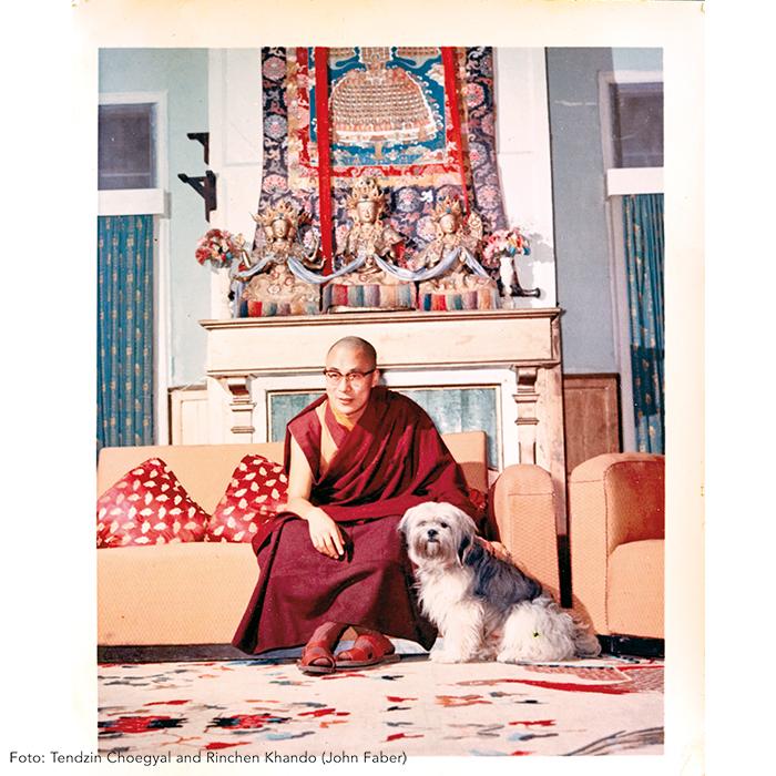 Beispielinhalt (Bild) Dalai Lama
