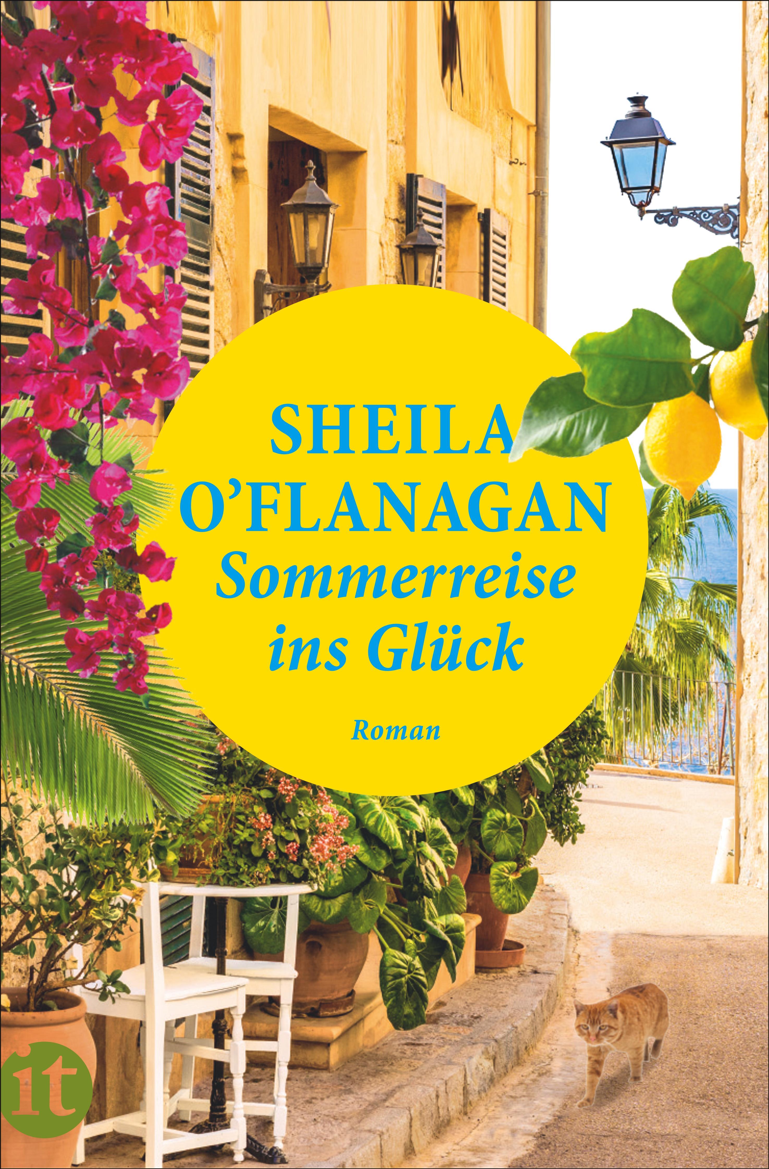 Vorderes Coverbild Sommerreise ins Glück