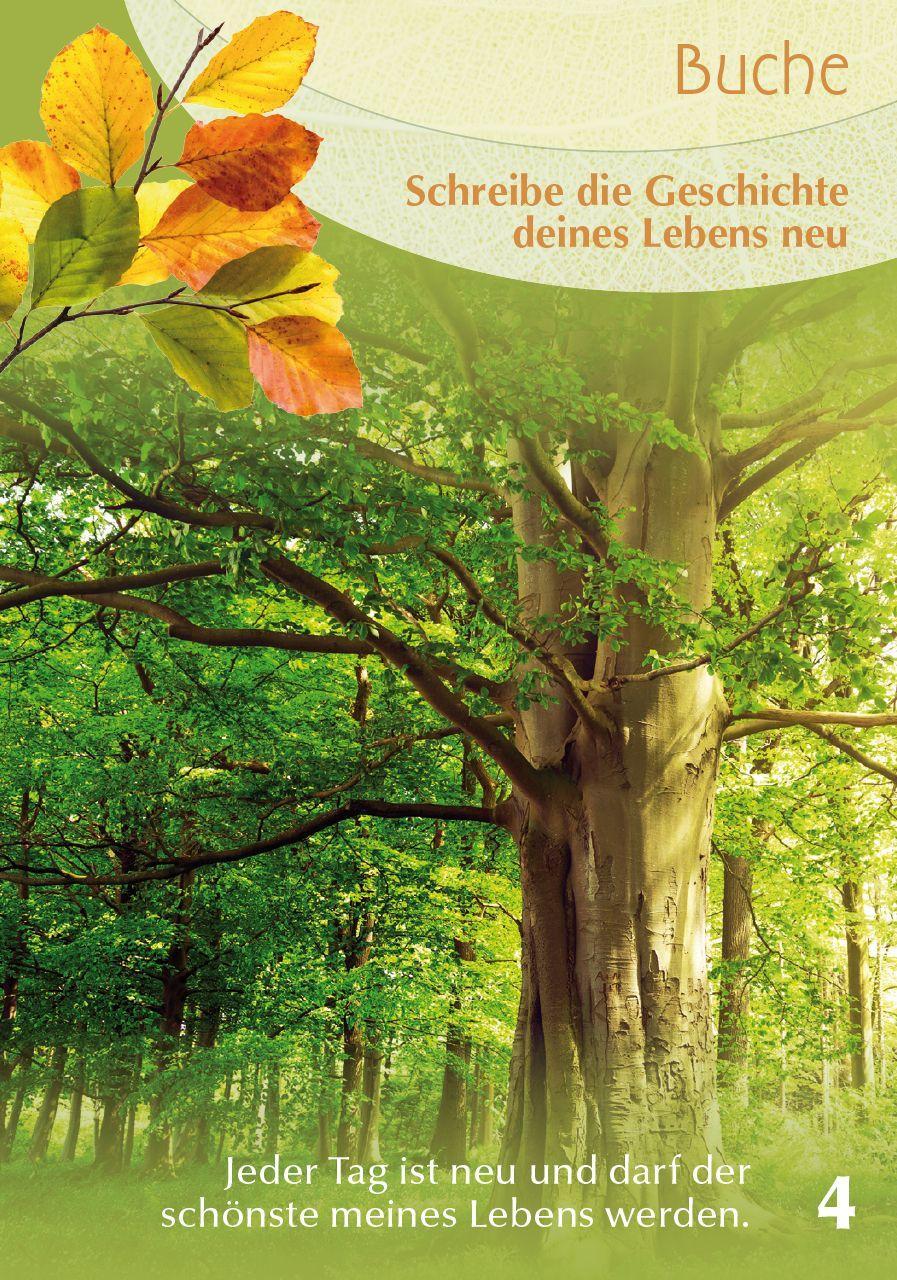 Beispielinhalt (Bild) Baumgefährten