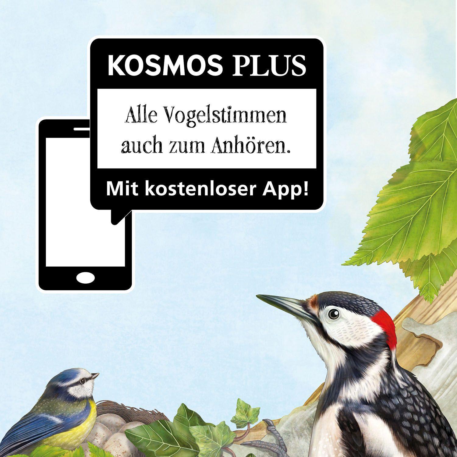 Beispielinhalt (Bild) Mein Vogelbuch