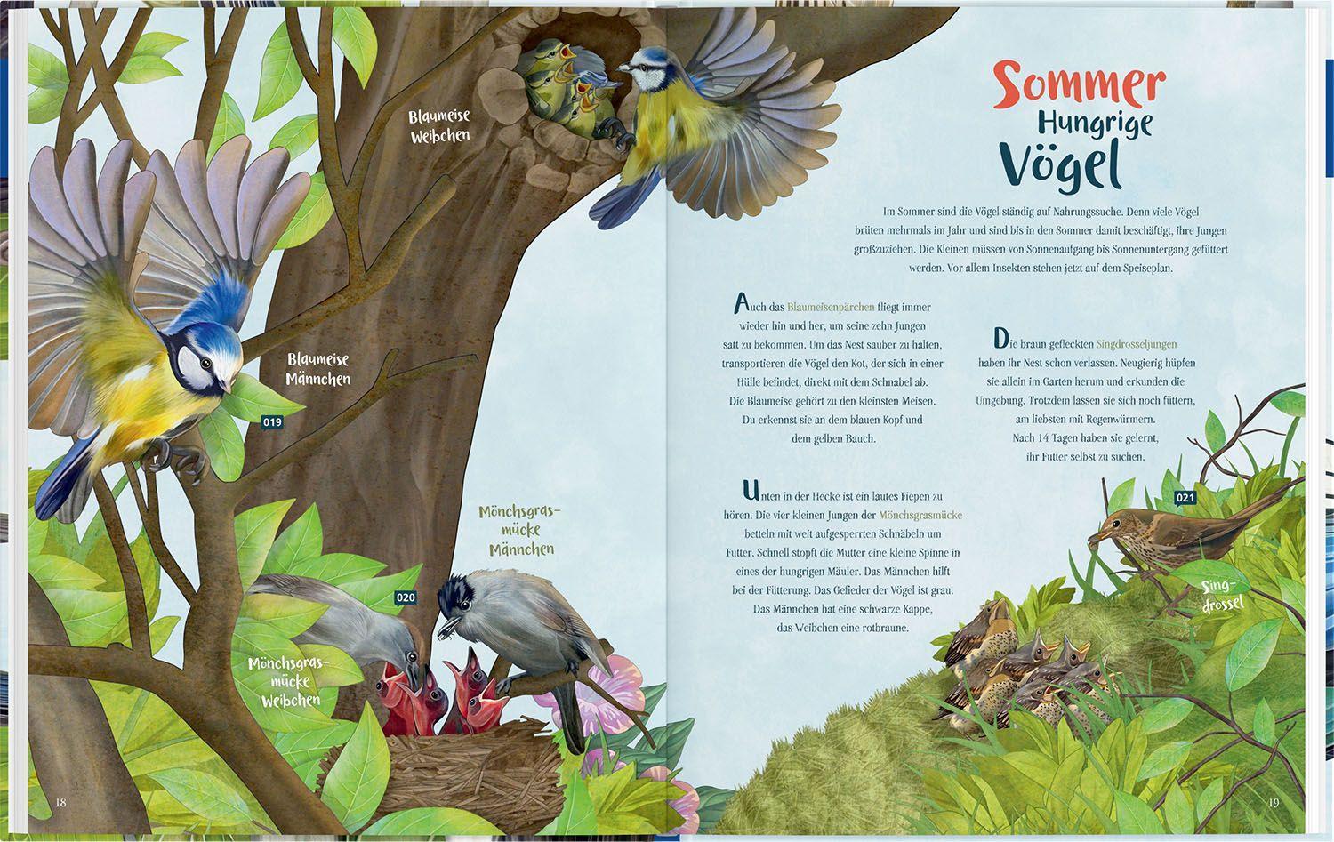 Beispielinhalt (Bild) Mein Vogelbuch