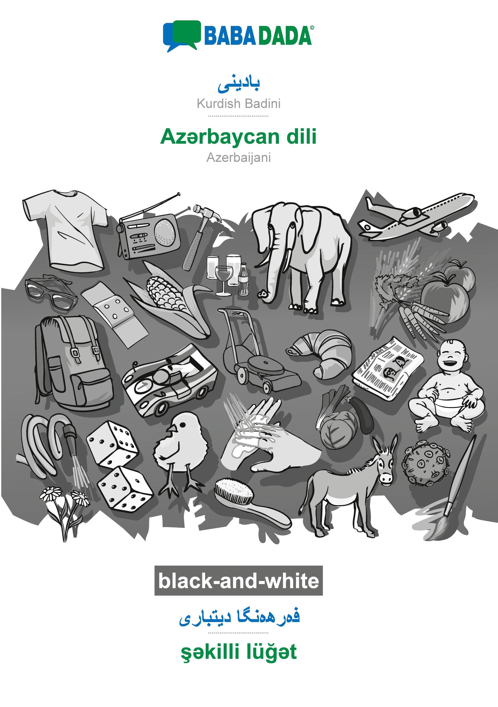 Vorderes Coverbild Kurdish Badini (in arabic script) - Az¿rbaycan dili, visual dictionary, BW