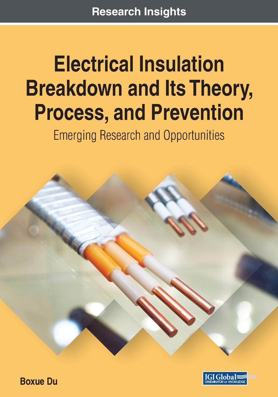 Vorderes Coverbild Electrical Insulation Breakdown and Its Theory, Process, and Prevention
