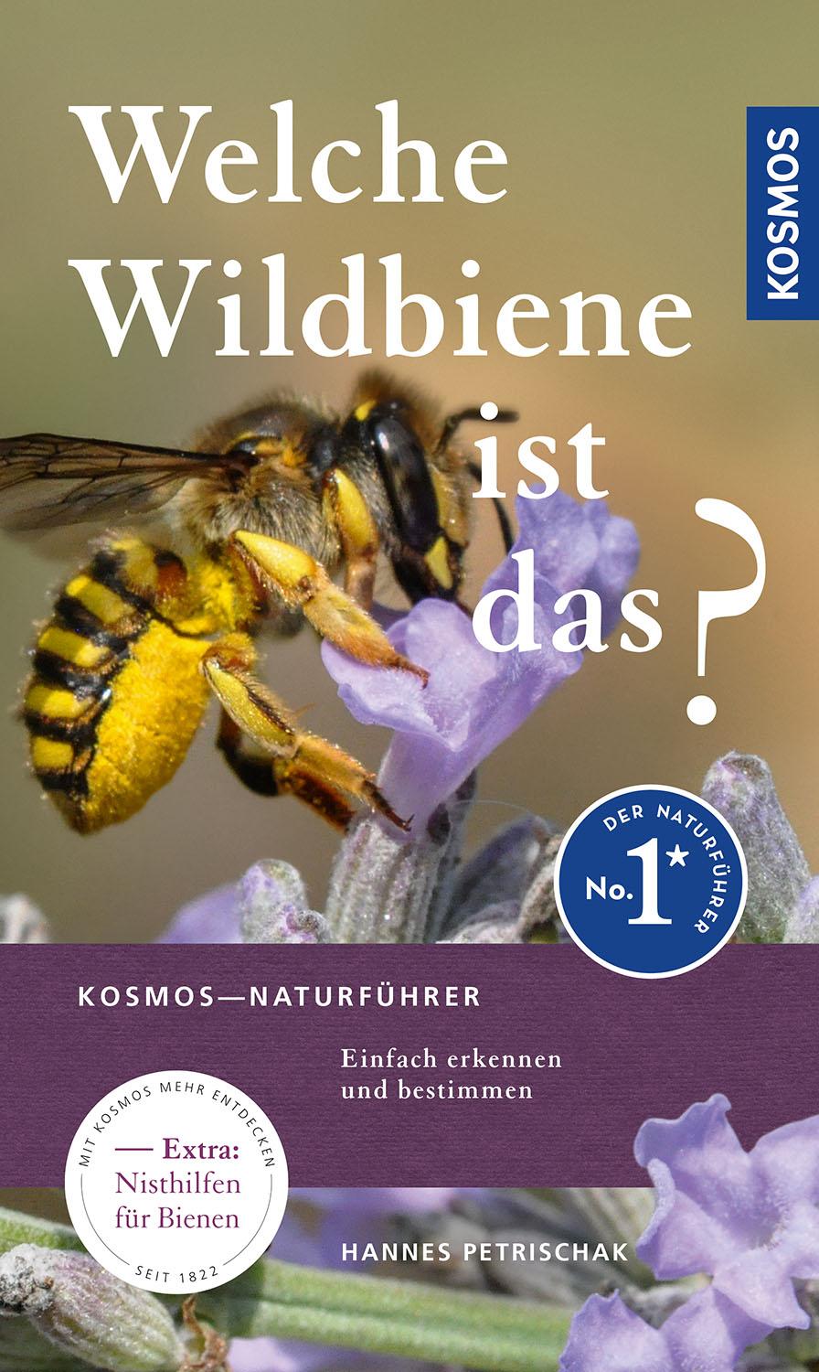 Vorderes Coverbild Welche Wildbiene ist das?