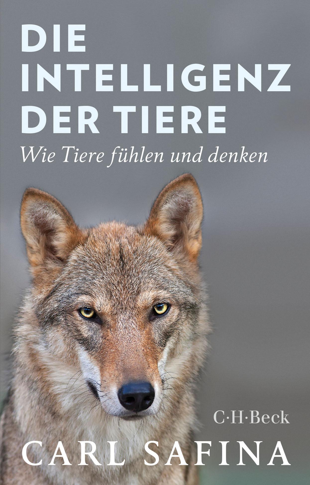 Vorderes Coverbild Die Intelligenz der Tiere