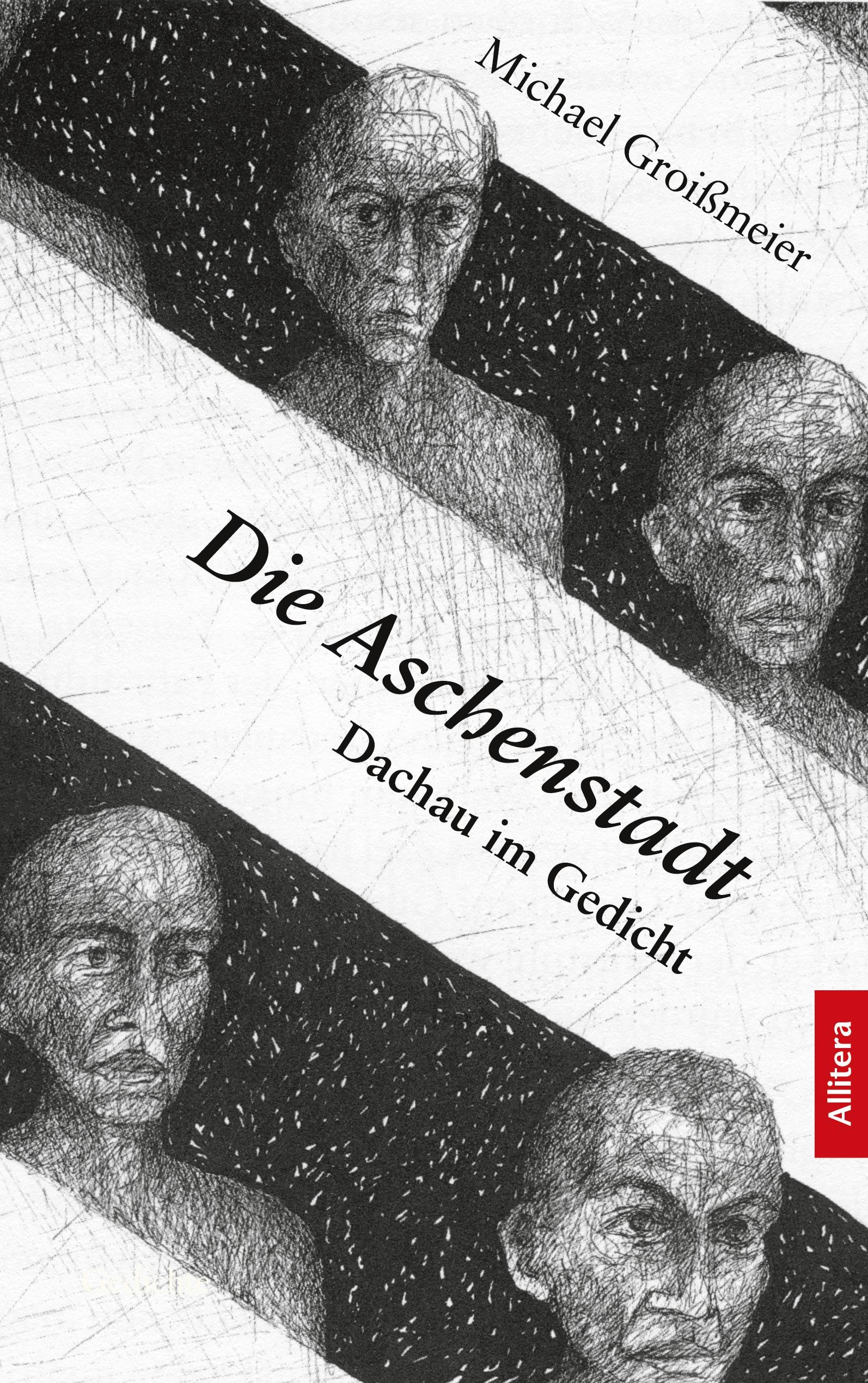 Vorderes Coverbild Die Aschenstadt