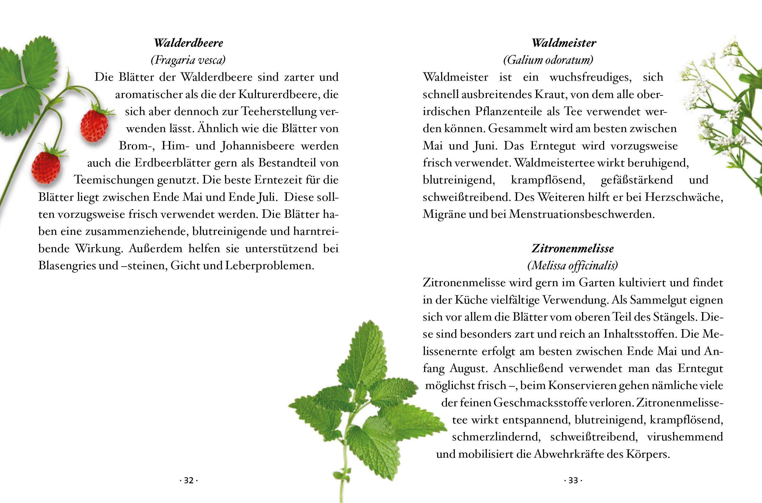 Beispielinhalt (Bild) Das kleine Buch: Teegenuss aus Früchten, Blüten und Blättern